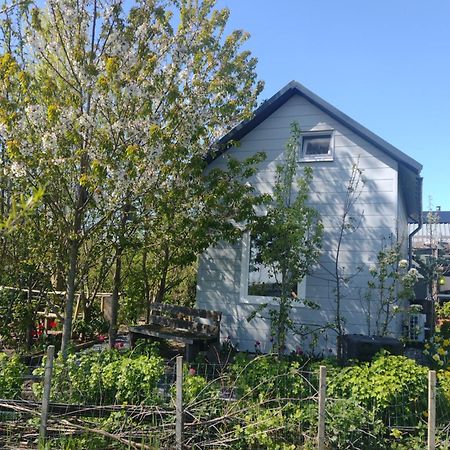 Tuinhuisje In Het Groen Almere Exterior foto